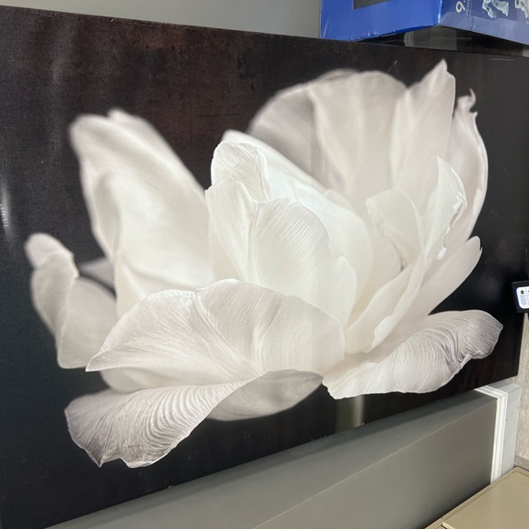 Wall Decor Canvas Art Poshmark